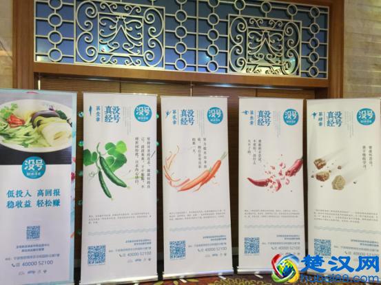 没号新派凉皮布局华东谋求互联网+轻餐饮连锁新发展