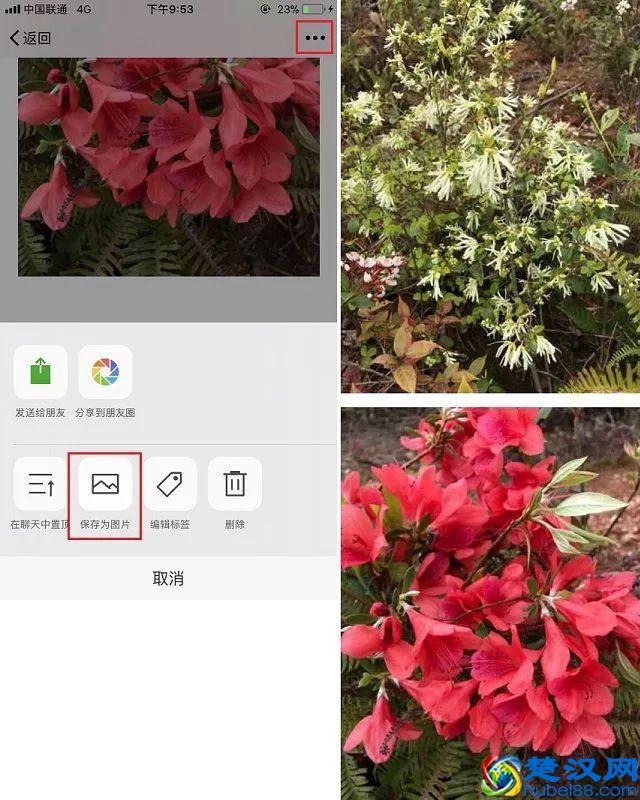 苹果手机怎么截图 iPhone XR/XS截屏/长截图教程