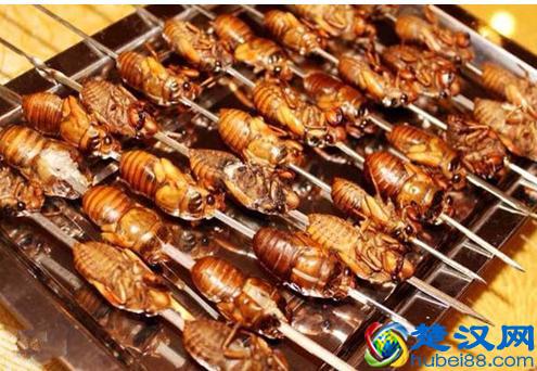 知了的幼虫叫什么 知了幼虫在地下多少年