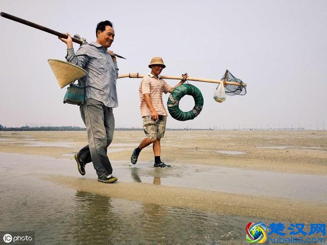 沙虫是什么虫？农村养殖沙虫前景如何？