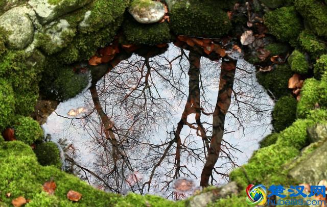 反物质究竟是什么?几张图马上看懂