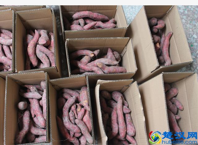 红薯这么吃，健康又减肥，三天让你瘦6斤，赶紧试试吧