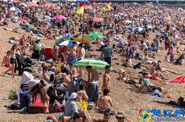 为什么我们越来越胖？英国这篇报道，道出了真相……