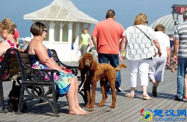 为什么我们越来越胖？英国这篇报道，道出了真相……