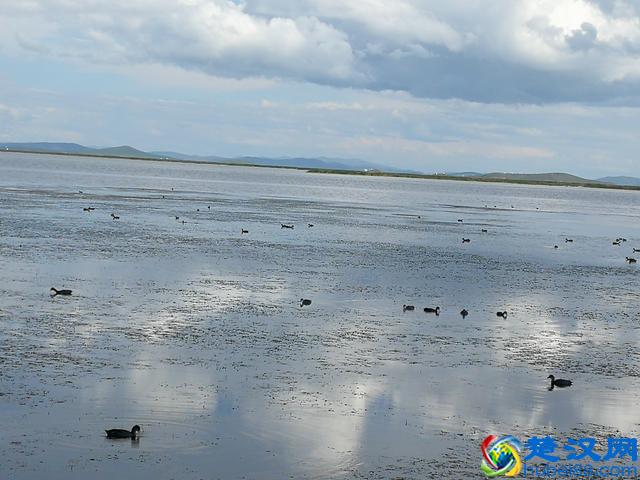 你如果收到假币会如何处理呢？大家说说