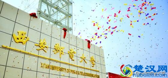 西安这个教授：2次破格晋升，却为何让学生带着遗憾毕业？