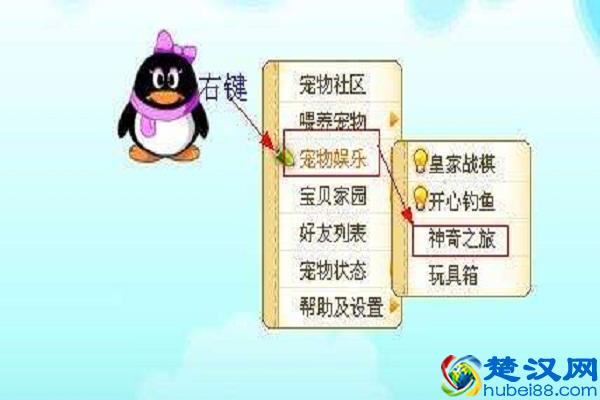 QQ宠物今日停止运营，留下了美好记忆