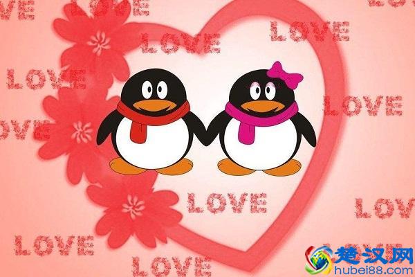 QQ宠物今日停止运营，留下了美好记忆