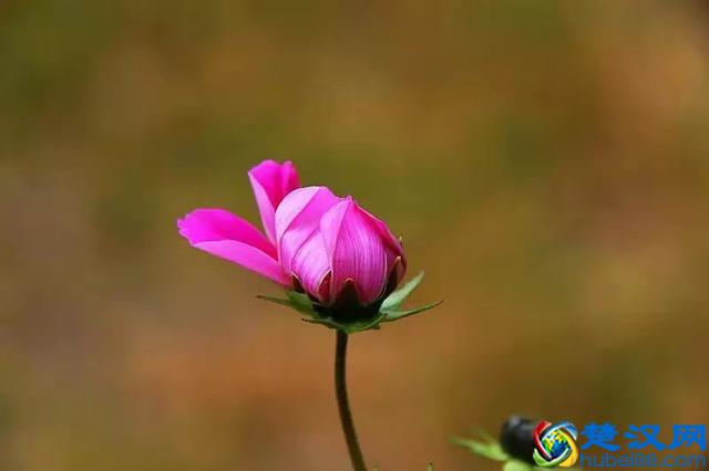 记得，每天给自己一个微笑！（共勉）