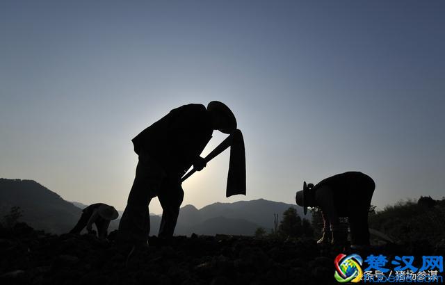 土地流转究竟流转的是什么，农村人都搞明白了吗？