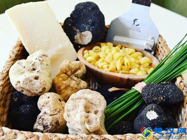 到底什么是松露，它为什么如此昂贵？