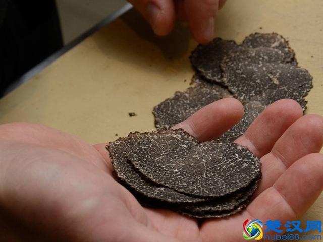 到底什么是松露，它为什么如此昂贵？