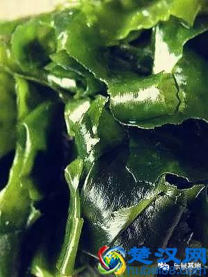 海带就是昆布？他们算海鲜吗？不用纠结，好吃最重要