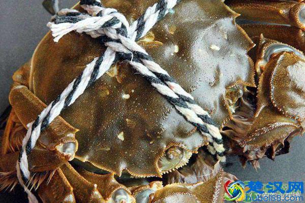 2018阳澄湖大闸蟹多少钱一斤？全国各地区大闸蟹最新价格行情