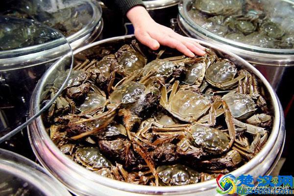 2018阳澄湖大闸蟹多少钱一斤？全国各地区大闸蟹最新价格行情