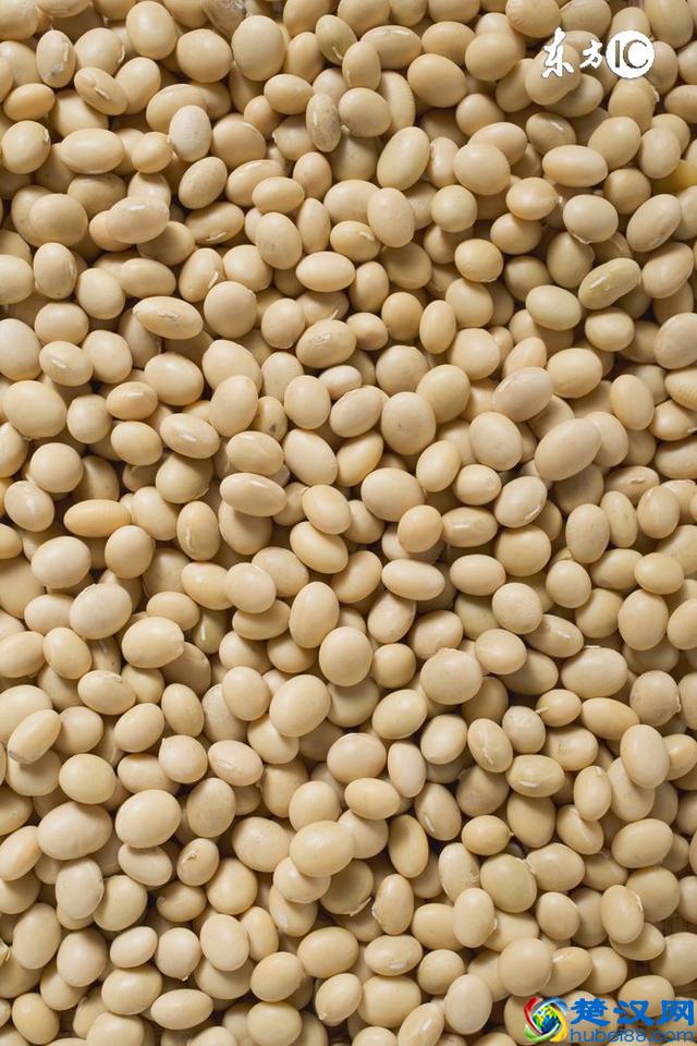 黄豆的作用，您知道多少呢，听听中医大夫怎么说