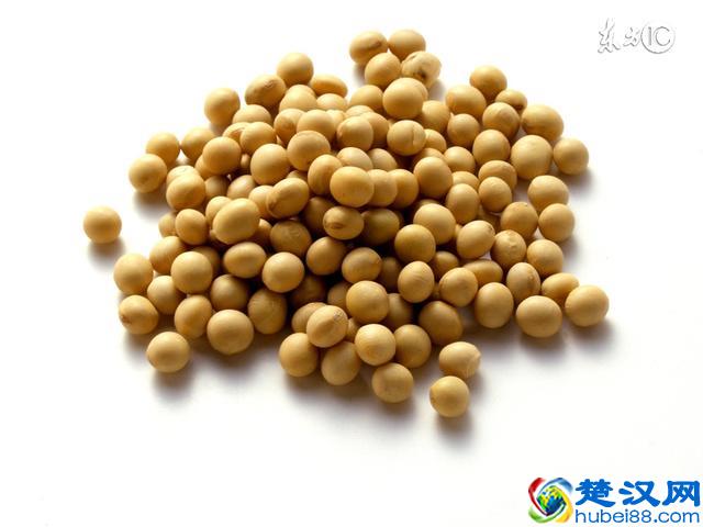 黄豆的作用，您知道多少呢，听听中医大夫怎么说