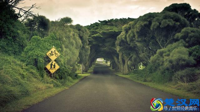 一生必听的10首经典英文歌曲，你都听过吗？