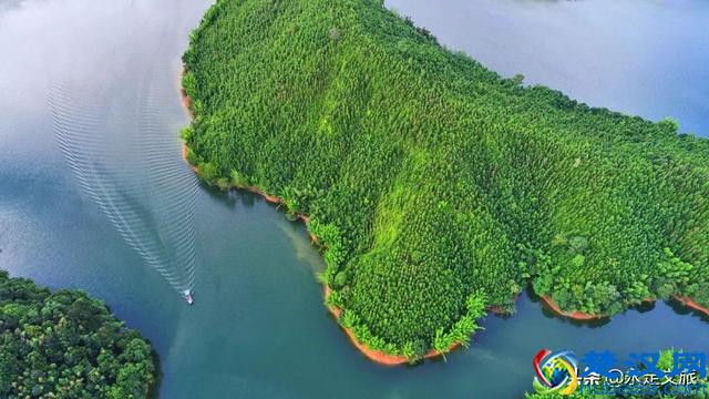 七景区十二时辰来袭 | 第七站武平梁野山生态旅游区