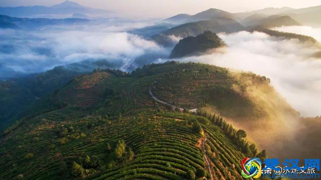 七景区十二时辰来袭 | 第七站武平梁野山生态旅游区