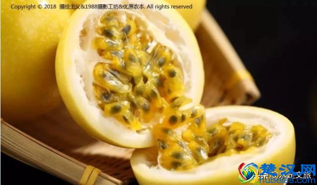 七景区十二时辰来袭 | 第七站武平梁野山生态旅游区