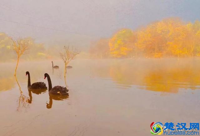 七景区十二时辰来袭 | 第七站武平梁野山生态旅游区