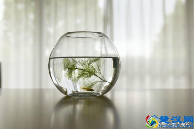 脸上干燥脱皮小妙招 3个办法需牢记