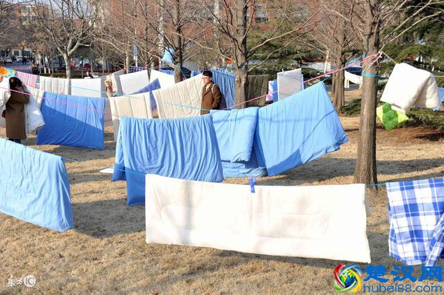 这5种除螨方法，每做到一样螨虫就远你一分！