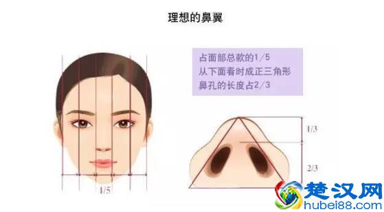 鼻翼缩小，让你的五官立起来