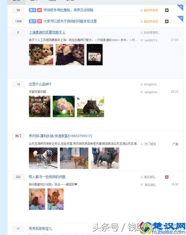 百度贴吧发帖不被删的技巧，第一节：贴吧的基础了解