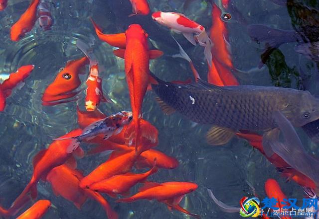 想转运吗，这几种方法能让你快速转运，坏运气一扫而光