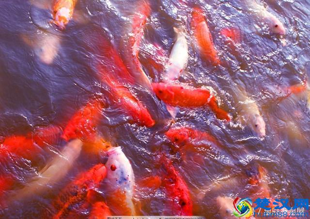 想转运吗，这几种方法能让你快速转运，坏运气一扫而光