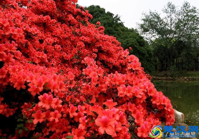 想转运吗，这几种方法能让你快速转运，坏运气一扫而光