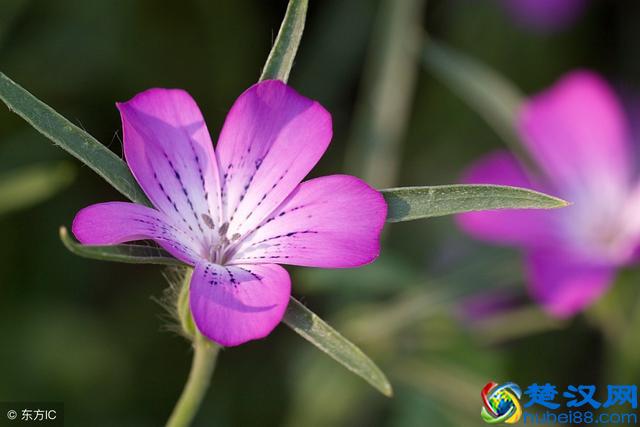 如何做人？记住这7条做人的底线就行！