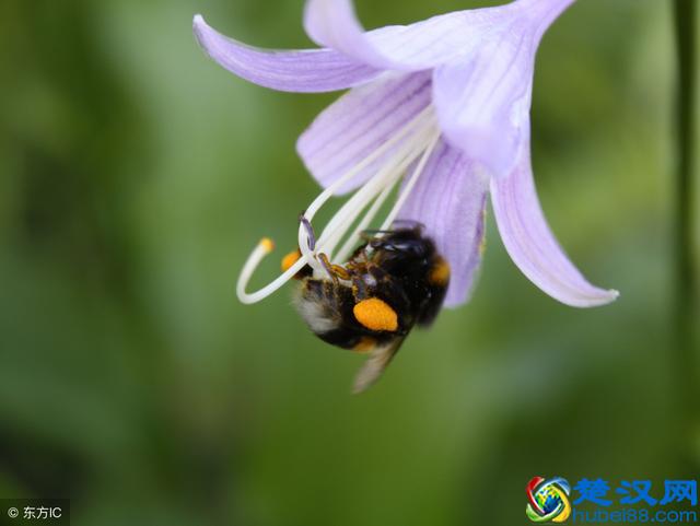 如何做人？记住这7条做人的底线就行！