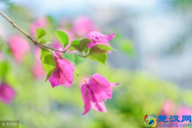 如何做人？记住这7条做人的底线就行！