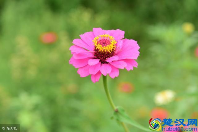 如何做人？记住这7条做人的底线就行！