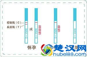怎样准确判断怀孕了？