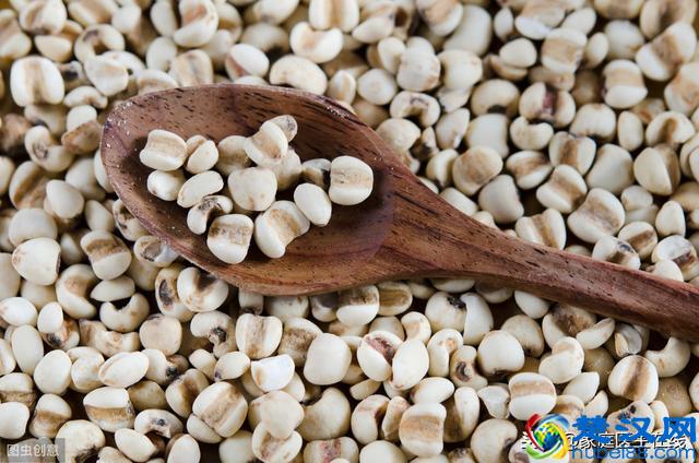 什么茶适合减肥时候喝？这10款茶，在家试一试