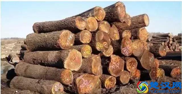 实木家具买哪种木材好？8种常见木材种类详细介绍