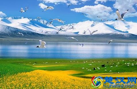 中国十大面积最大的省 哪个省土地面积最大 中国省份面积排名