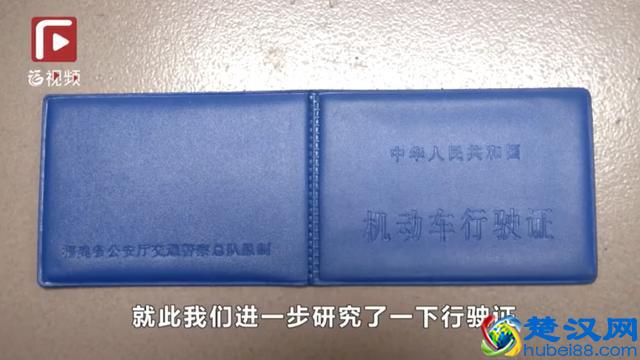 海口到底在哪个省？海南海口、福建海口、湖南海口……