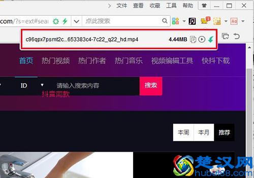 如何下载网页中的视频？适用于所有网站！