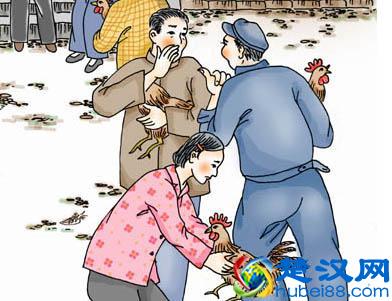 你知道“打鸡血”这个词吗——告诉你真实的打鸡血