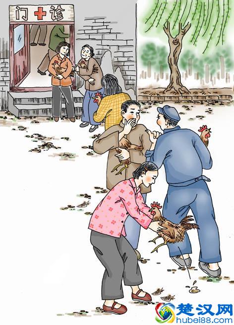 你知道“打鸡血”这个词吗——告诉你真实的打鸡血