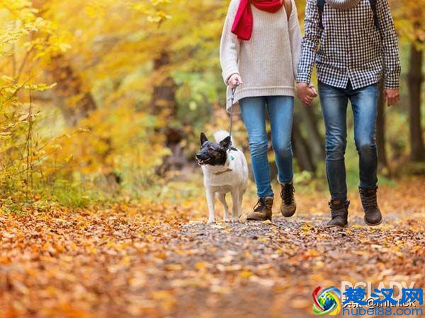 送什么礼物给男朋友 推荐实用合适的生日礼物