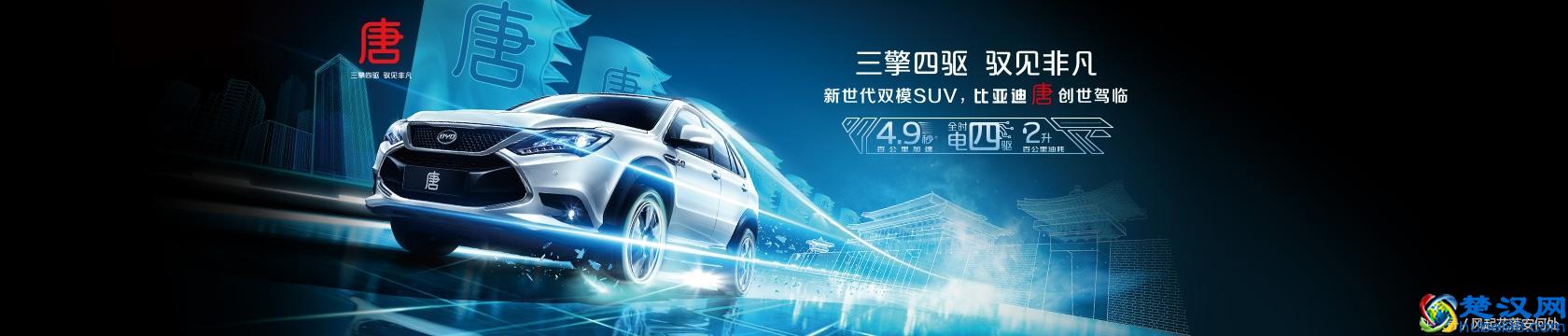 新能源汽车——全国联保你要认清事实，别上当！