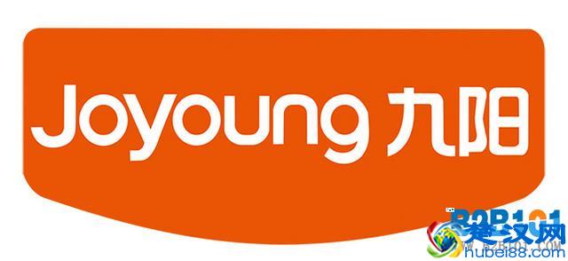 电压力锅什么牌子好 电压力锅十大品牌排行