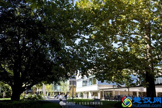 美国历史最悠久的高等学府 哈佛大学