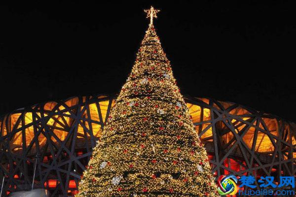 美国节日，有哪些是他们要过的传统节日